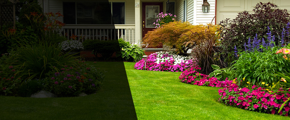 Amityville Landscapers